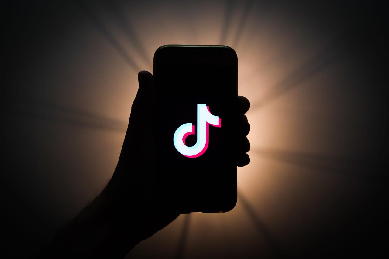 Viral Video Strategies: TikTok & YouTube Success