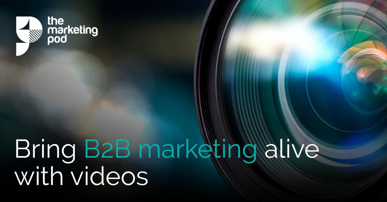 B2B Video Marketing: Drive Leads with a Winning Strategy